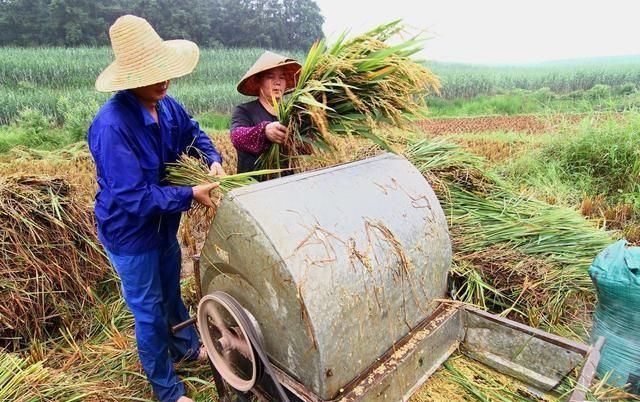 农村长大的朋友们，能讲一下你们小时候一次最难忘的童年经历吗图5