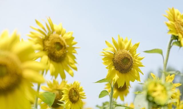 今日头条怎么才能热门图8