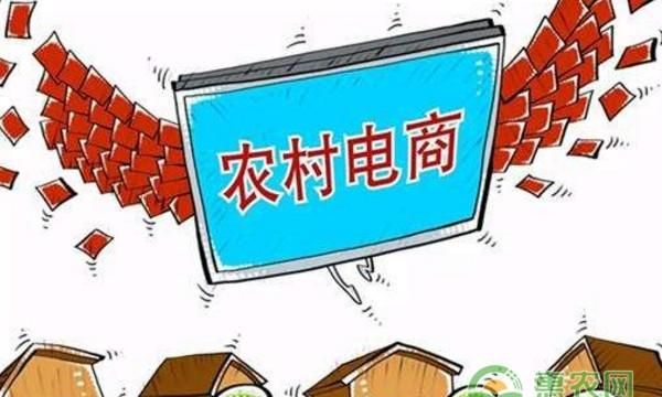 现在回农村做什么行业比较赚钱图9