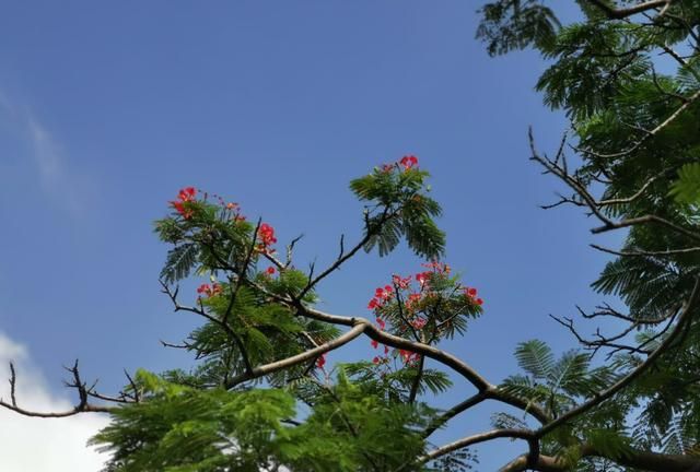 小光圈拍风景，大光圈拍人吗要是出去旅拍也是这么用吗有毛病嘛图7