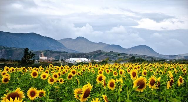 小光圈拍风景，大光圈拍人吗要是出去旅拍也是这么用吗有毛病嘛图10