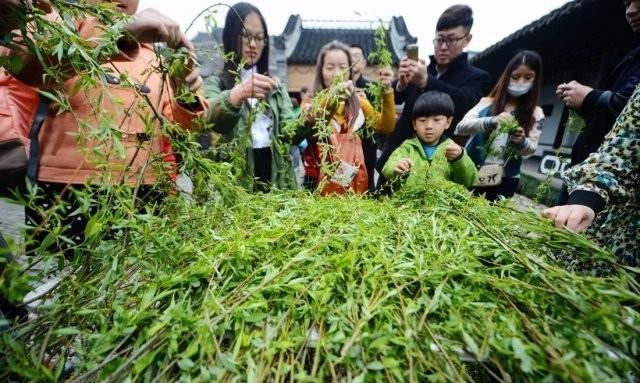 中元节怎样文明祭祀图2