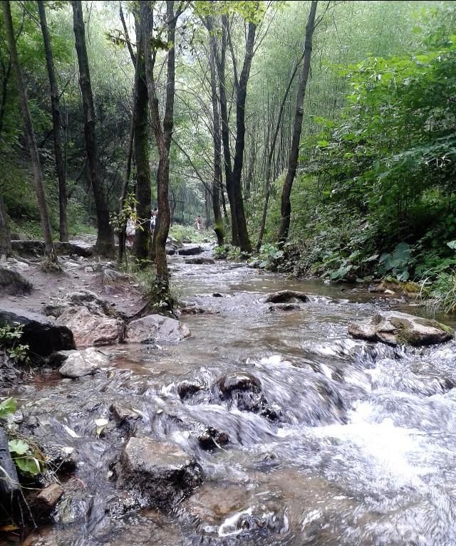 你遇到过景区大门间的摆渡车变相涨价现象吗旅游中的坑有哪些图3