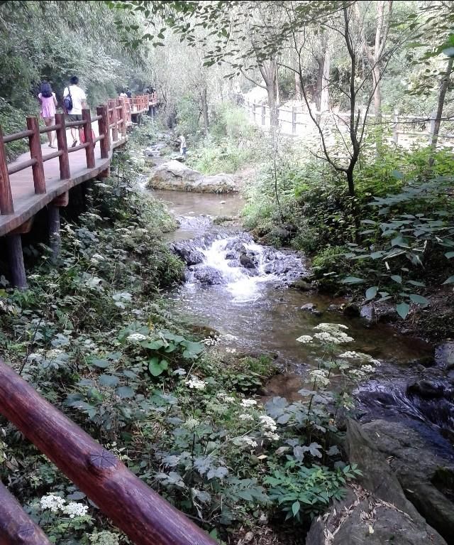 你遇到过景区大门间的摆渡车变相涨价现象吗旅游中的坑有哪些图4