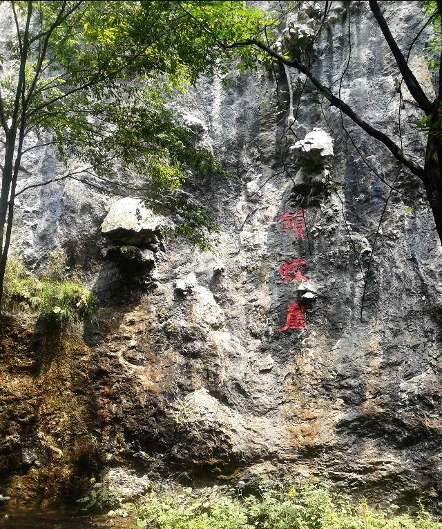 你遇到过景区大门间的摆渡车变相涨价现象吗旅游中的坑有哪些图7