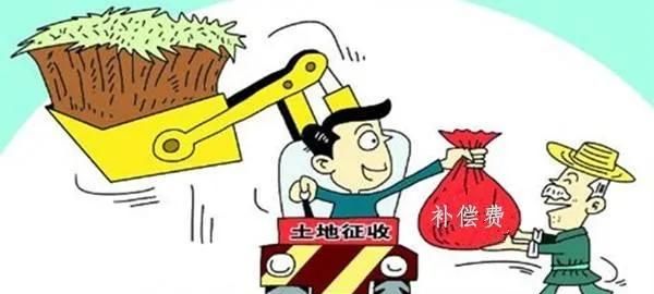 农村耕地没人种了怎么办图2