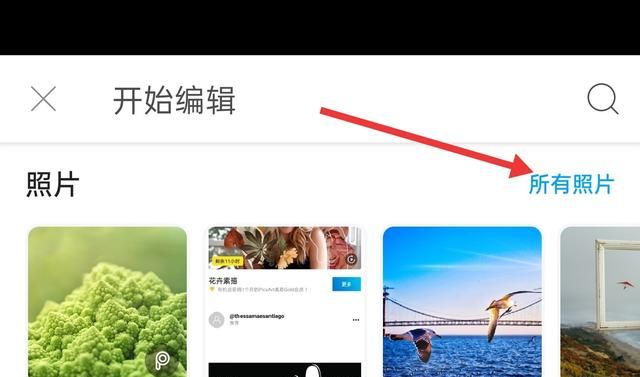 拍照不上镜怎么拍好看图8