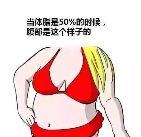 减脂期间肌肉率下降是什么情况图5