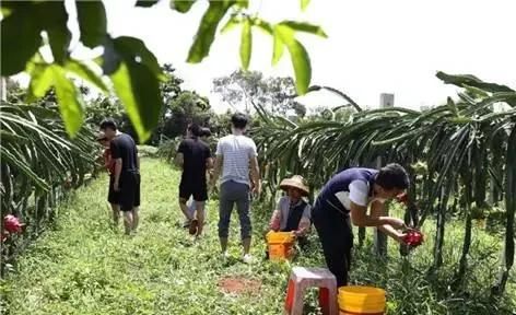 为什么在城里生活惯了的农村人再回到农村就不习惯农村的生活了呢图6