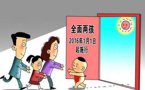 不结婚,不生娃的原因是什么意思图4