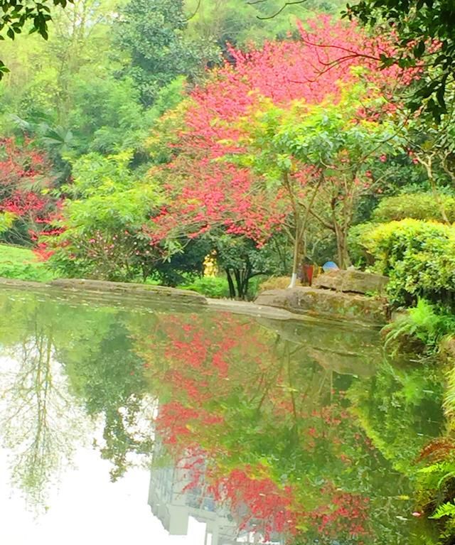 今年五一小长假有4天，职场辛苦打拼的人，是选择出去旅游，还是抓紧时间看书充电呢图1