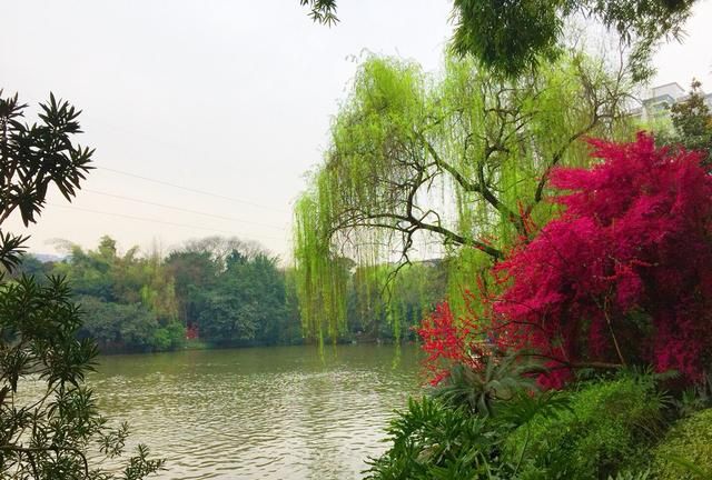 今年五一小长假有4天，职场辛苦打拼的人，是选择出去旅游，还是抓紧时间看书充电呢图3