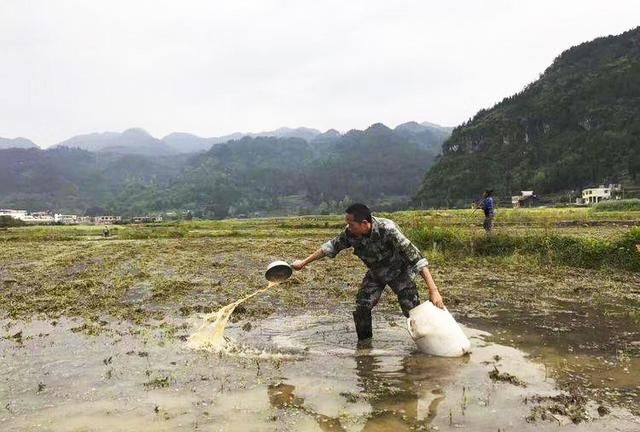 让你放弃现在的工作到大山过着鸟语花香的生活，你愿意吗图3