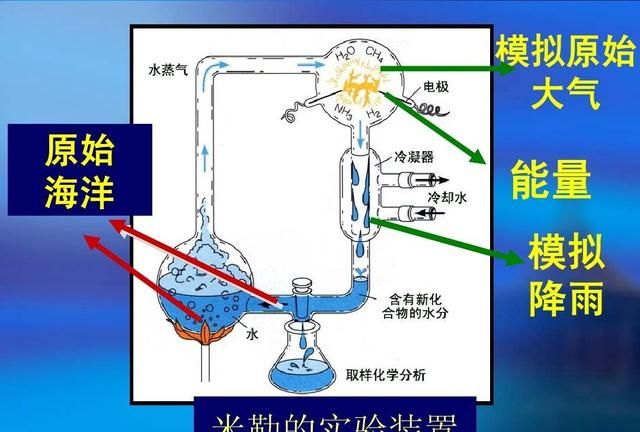 地球为什么选择了人类?是必然还是偶然的图12