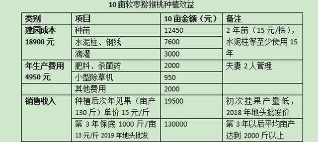 北方农村土地种植什么好，年年种植?，根本不挣钱图1