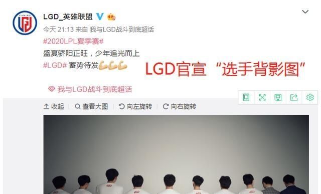 lgd夏季赛战队成员图2