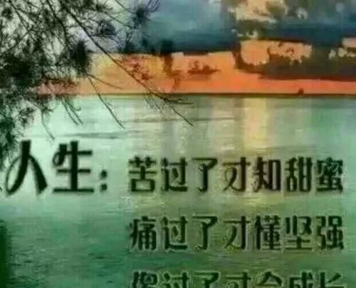 你觉得最有哲理的一句话是什么图10