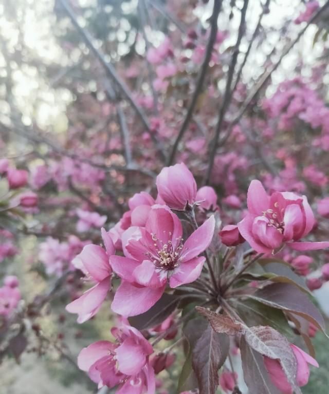 母亲节儿媳妇带着儿子请自己妈妈，打电话别等他们吃饭，怎么看图3