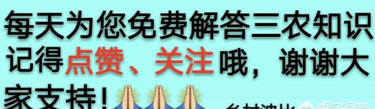 有些农村不让烧煤,那么用什么方式可代替烧煤取暖呢图4