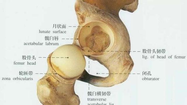 疫情期间在家如何锻炼身体图1