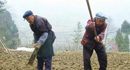 从农村出来的人还愿意回去种地吗图2