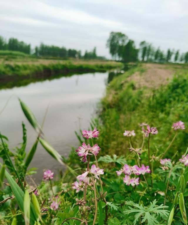 乡下长大的伙伴们，还记得你小时候玩过什么有意思的，城里没有的玩意儿吗图1