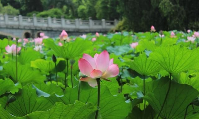 不懂摄影，初学时需不需要练或陪练能否给个学拍照的详细建议图10