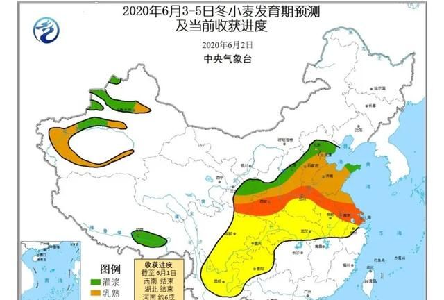 种麦子挣钱吗图3