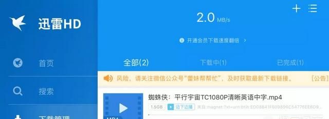 现在迅雷为啥限制这么多网站图10