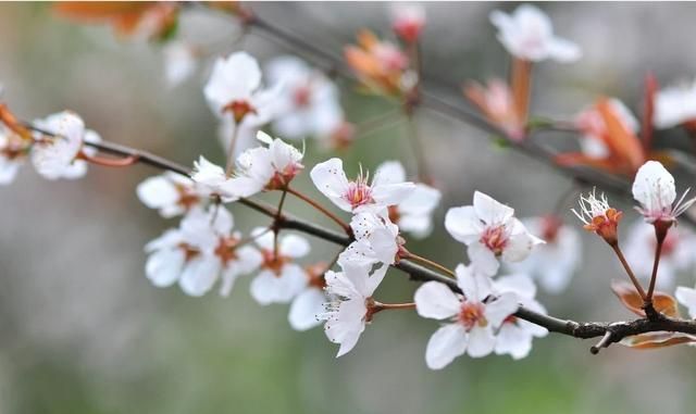 夏天是一个很热的季节图1