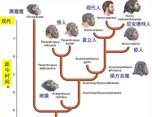 人类之间存在生殖隔离吗图8